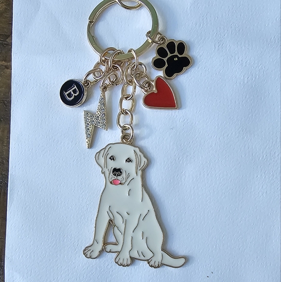 NEW! Dalmatian + Pawprint🐾 Keychain/Purse 👜🎒 Charm ~ Puppy 🎁 👩‍🚒👨‍🚒🚒 - Picture 12 of 13